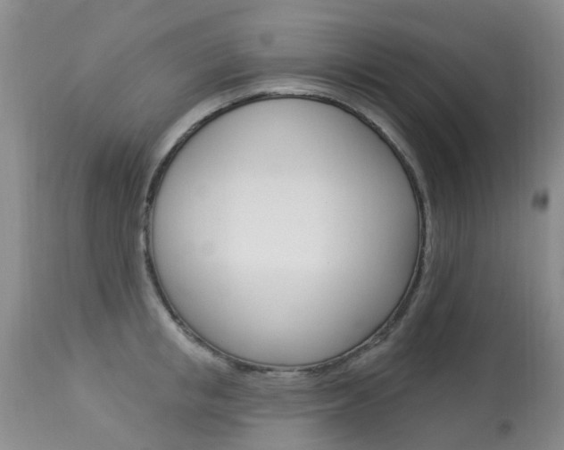 X0000113940853200909250938