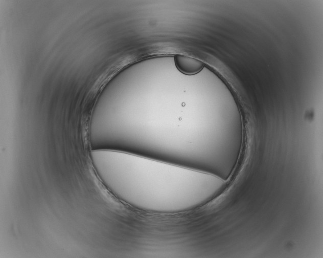 X0000113940857200909250938
