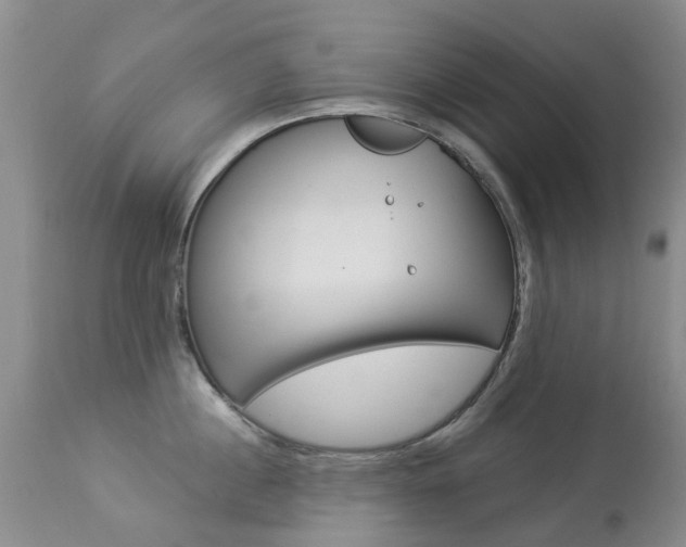 X0000113940860200909250938