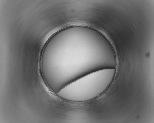 X0000113940861200909250938