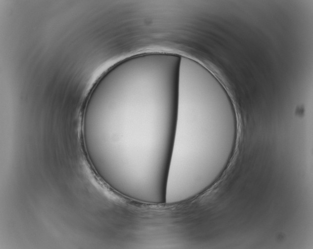 X0000113940862200909250938