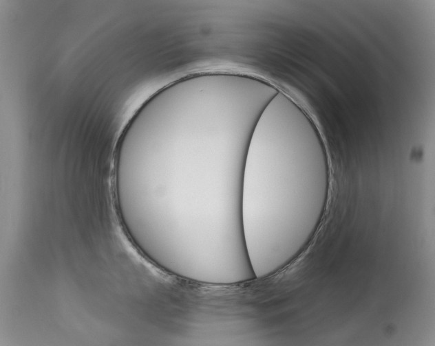 X0000113940863200909250938