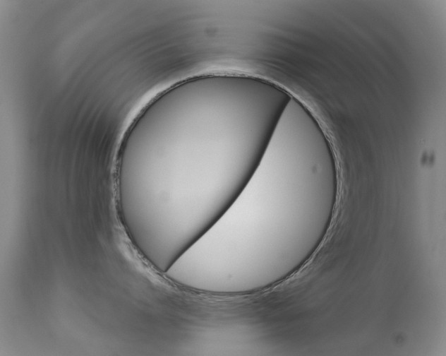X0000113940864200909250938