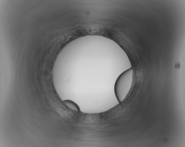X0000113940865200909250937