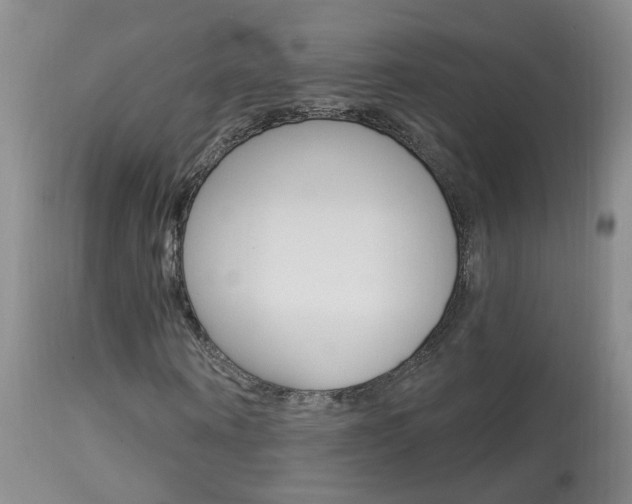 X0000113940866200909250937