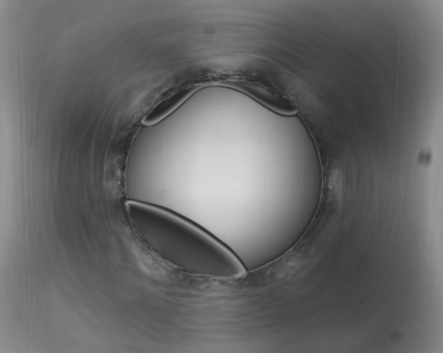X0000113940868200909250937