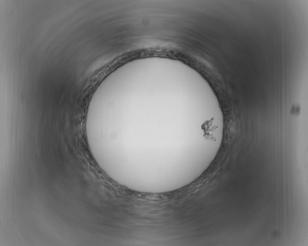 X0000113940869200909250937