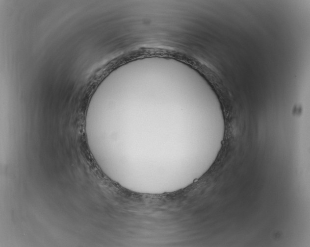 X0000113940870200909250937