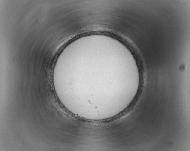 X0000113940873200909250937