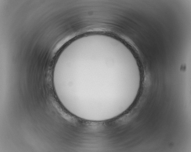 X0000113940874200909250937