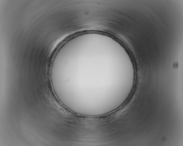 X0000113940875200909250937