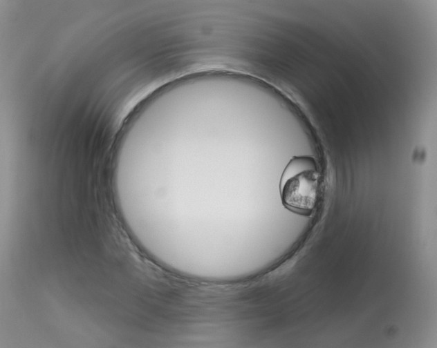 X0000113940877200909250937