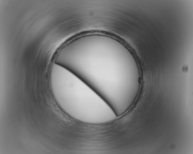 X0000113940879200909250937
