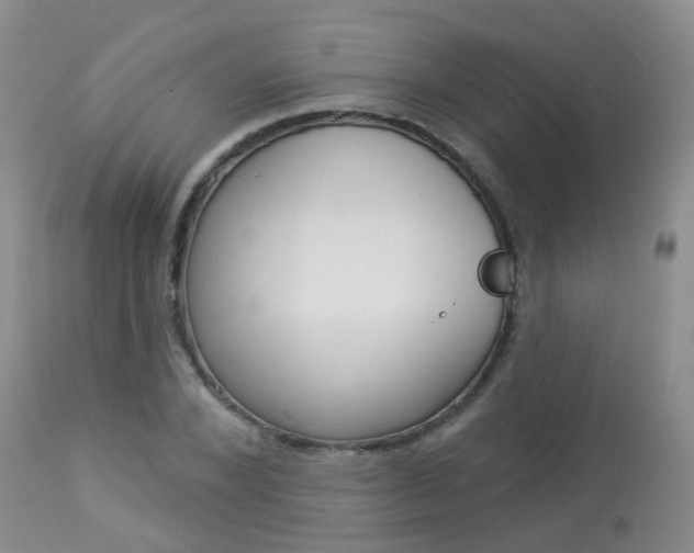 X0000113940880200909250937