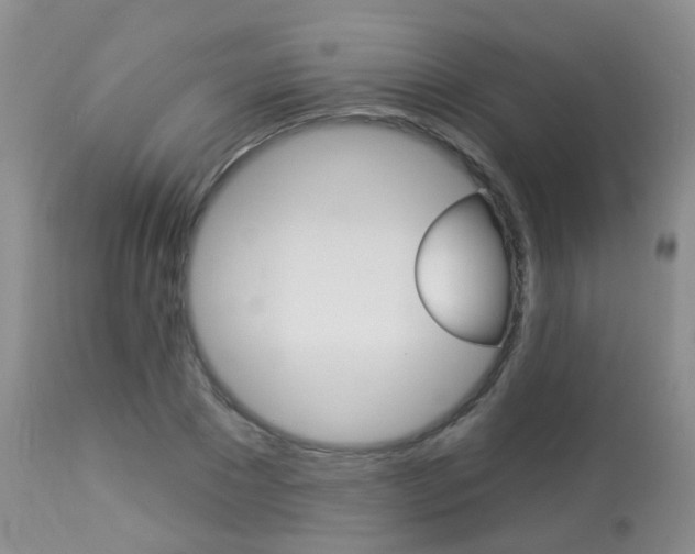 X0000113940881200909250937