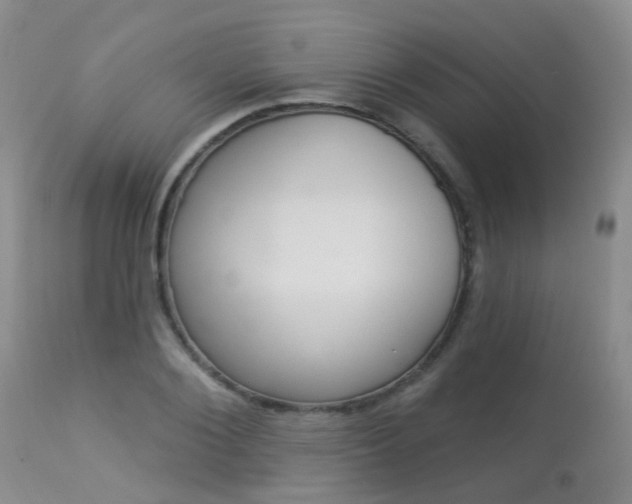 X0000113940884200909250937