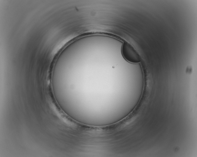 X0000113940885200909250937