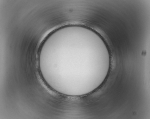 X0000113940886200909250937
