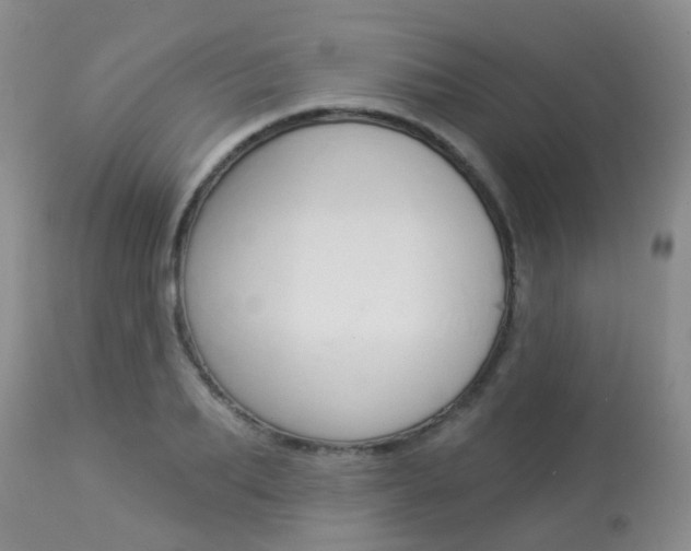 X0000113940887200909250937