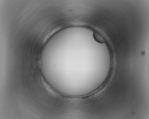 X0000113940889200909250937
