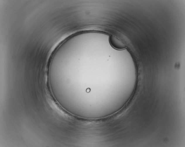 X0000113940892200909250937