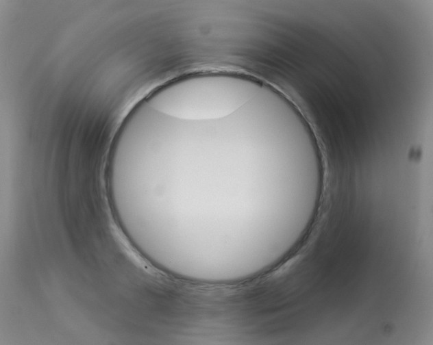 X0000113940893200909250937