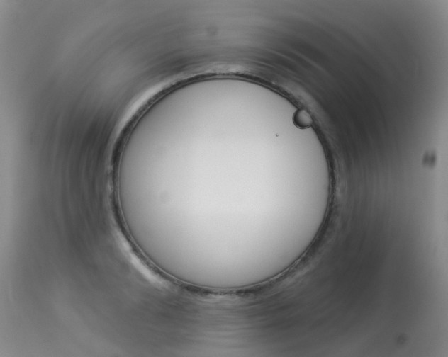 X0000113940894200909250937
