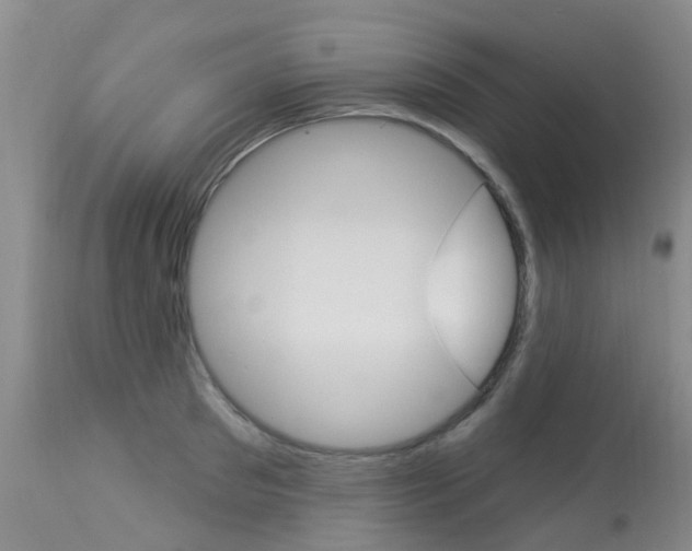 X0000113940897200909250936