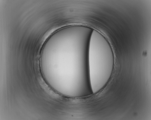 X0000113940899200909250936