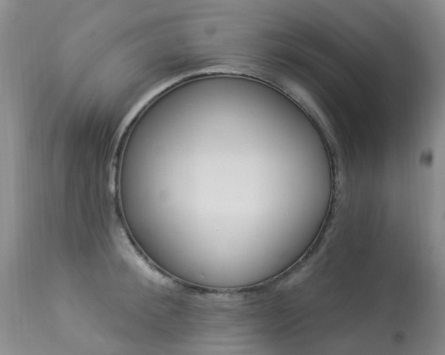 X0000113940900200909250936