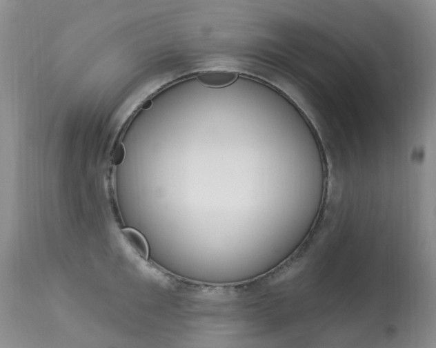 X0000113940901200909250936
