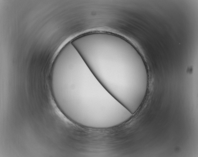 X0000113940903200909250936