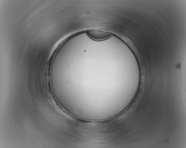 X0000113940904200909250936