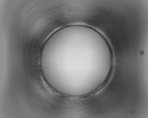 X0000113940905200909250936