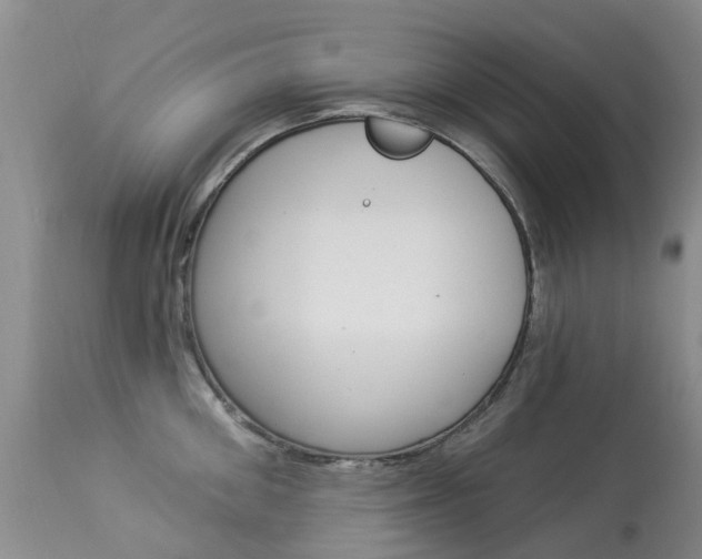 X0000113940906200909250936
