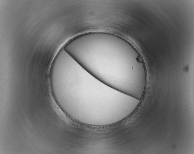 X0000113940907200909250936