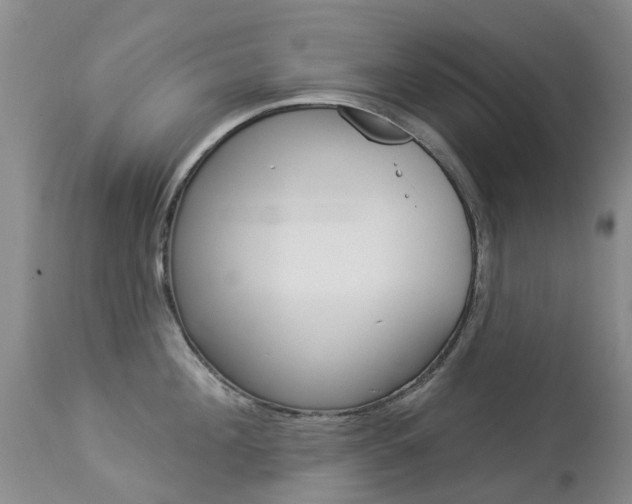 X0000113940908200909250936