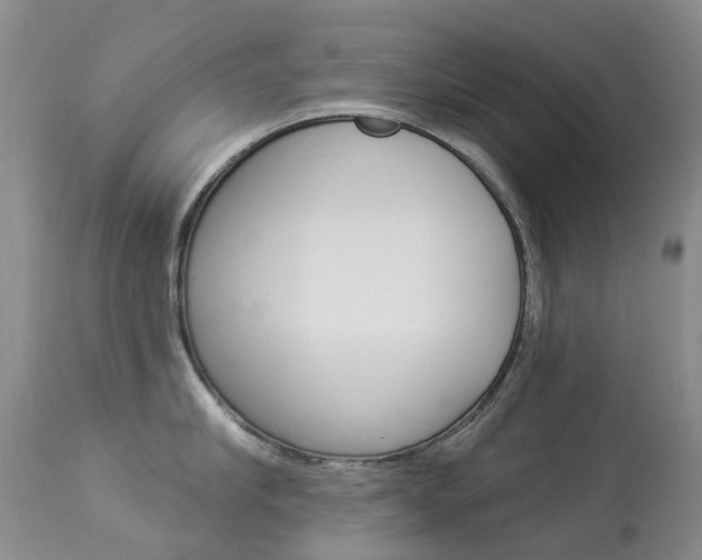 X0000113940910200909250936