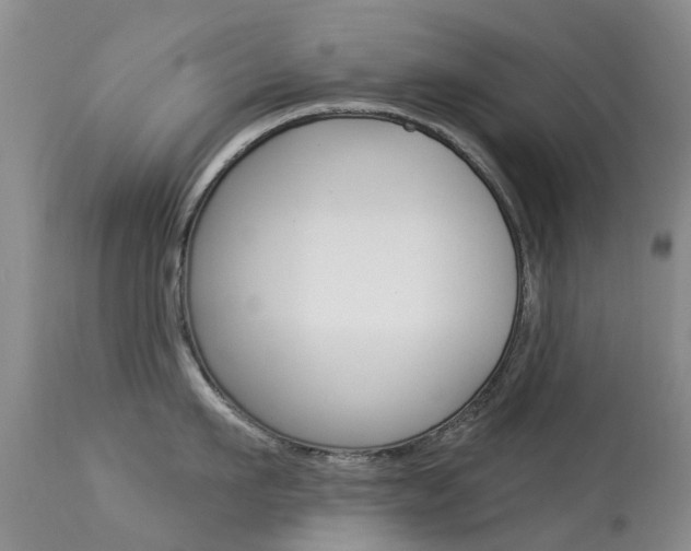 X0000113940911200909250936