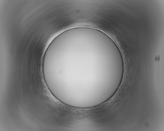 X0000113940912200909250936