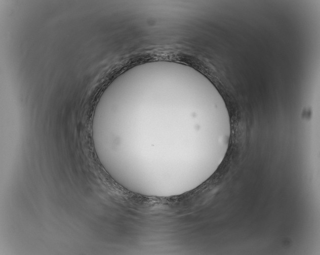 X0000113940913200909250936