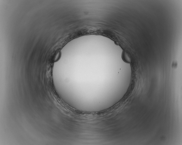 X0000113940914200909250936