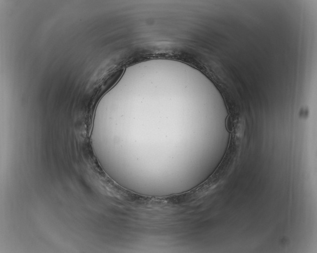 X0000113940916200909250936