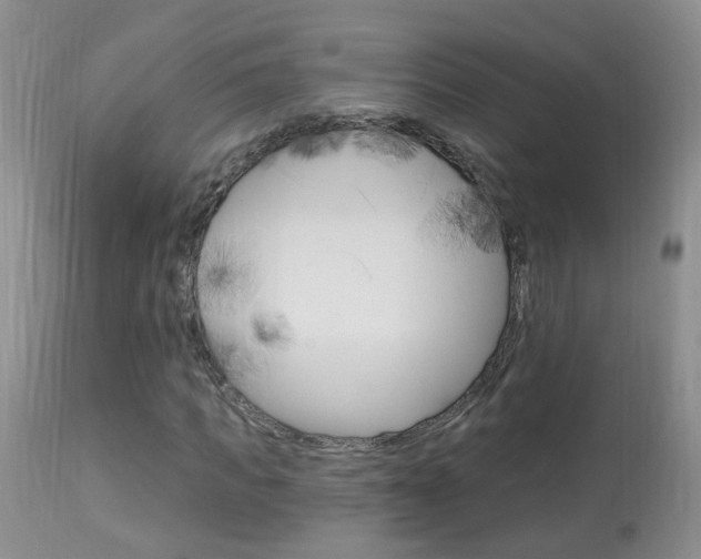 X0000113940917200909250936