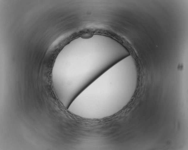 X0000113940919200909250936