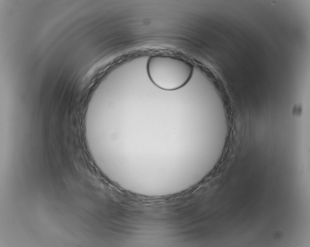 X0000113940920200909250936