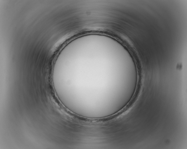 X0000113940922200909250936