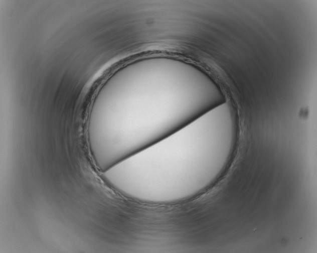X0000113940923200909250936