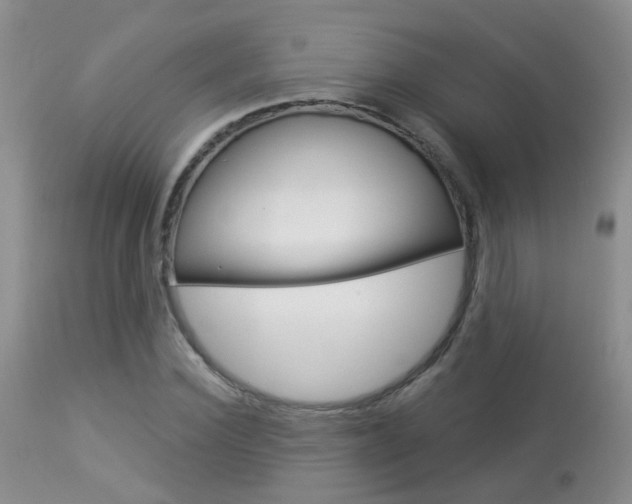 X0000113940924200909250936