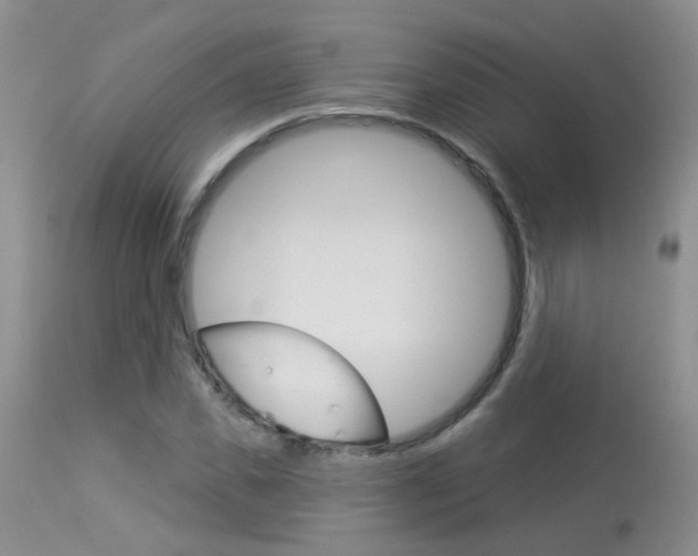 X0000113940925200909250936